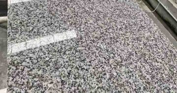 呼和浩特 芙蓉白光面